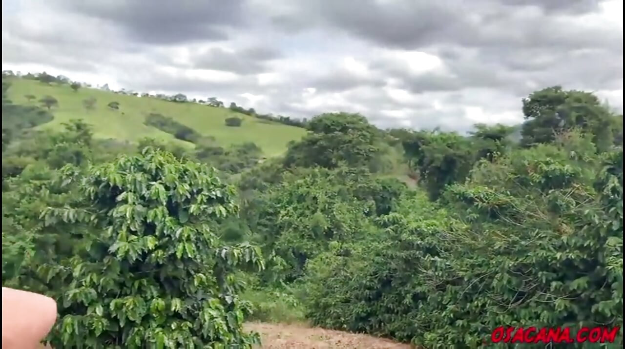 Beautiful Young Girl with Dreads Fucks Inside the Coffee Plantation