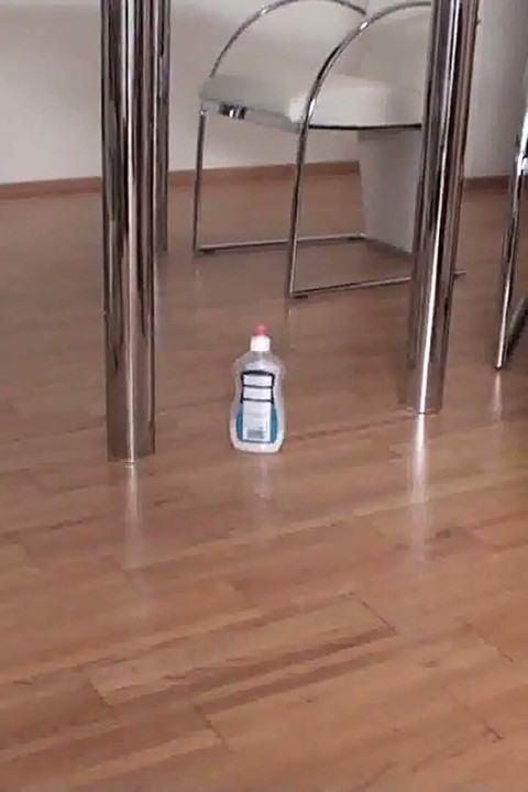 Two mistresses make him clean floor