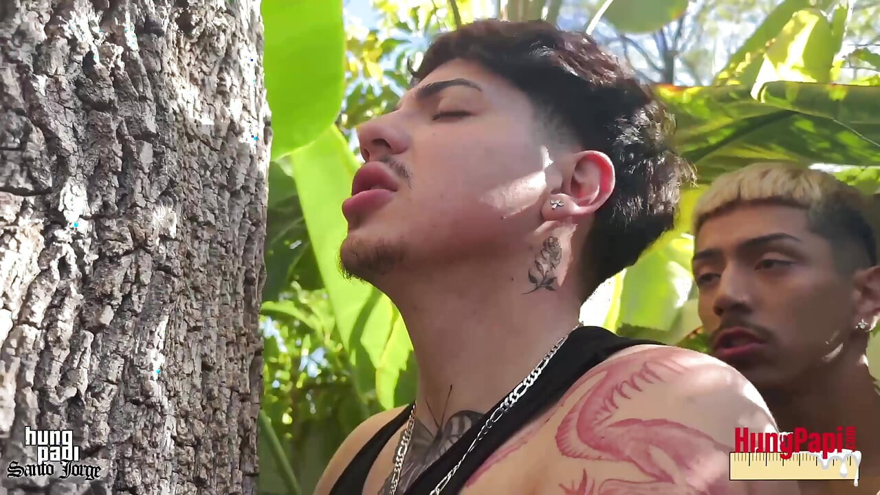 屁股操树拥抱者同性恋肛门射精深度繁殖! Hung Papi Santo Jorge