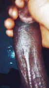 Pratinjau video