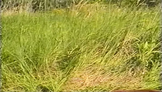 Wild Outdoor Sex with Horny Brunette Babe Fingering and Fucking