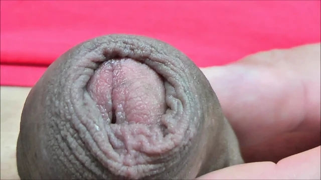 Extreme Close Up of my Split Cock Part 2