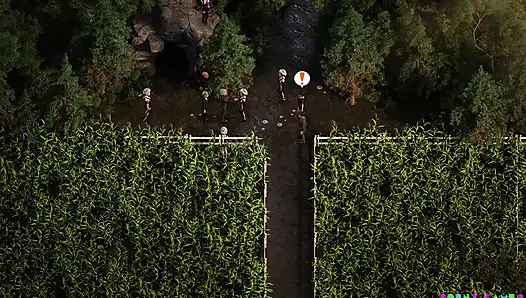 The genesis order (by NLT) - part. 29 (NVO)