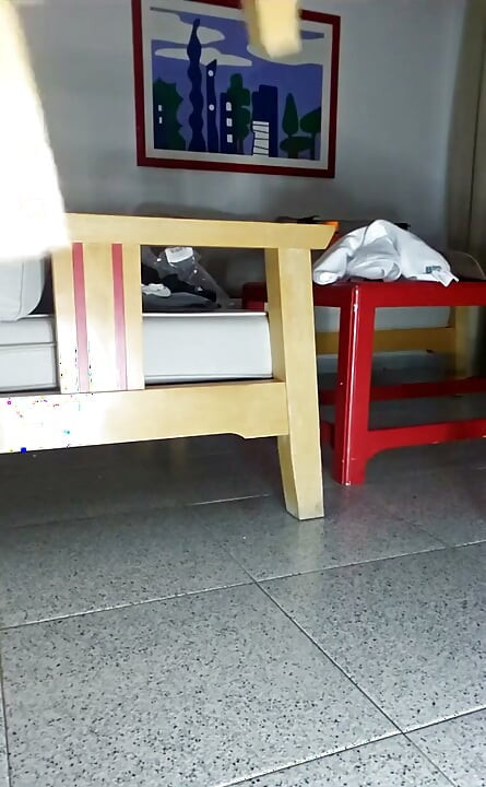 저녁 식사 전에 호니