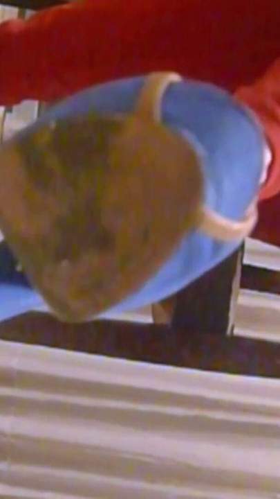 Worshipping Her Blue High Heels | Clip 1