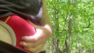 Pregled videozapisa