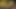 Cüce İspanyol bebek Munequita porno adamlarımız için çaresiz!