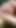 I am the king of masturbating my thick and sweet cock