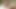 ぽっちゃり系レズビアンは淫乱に