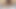 俺は太った女が大好きだ、ミスター・ラバブト