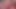 Arse Worshippers (upscaled) with Faye Rampton and Rebekah Jordan