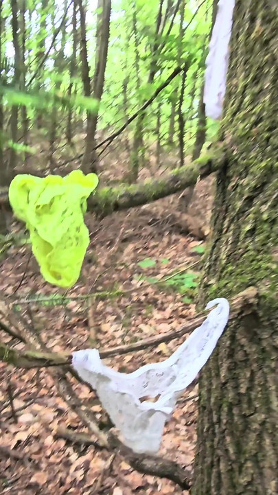 Stunning moment from "Thong found in the forest and cum covered"