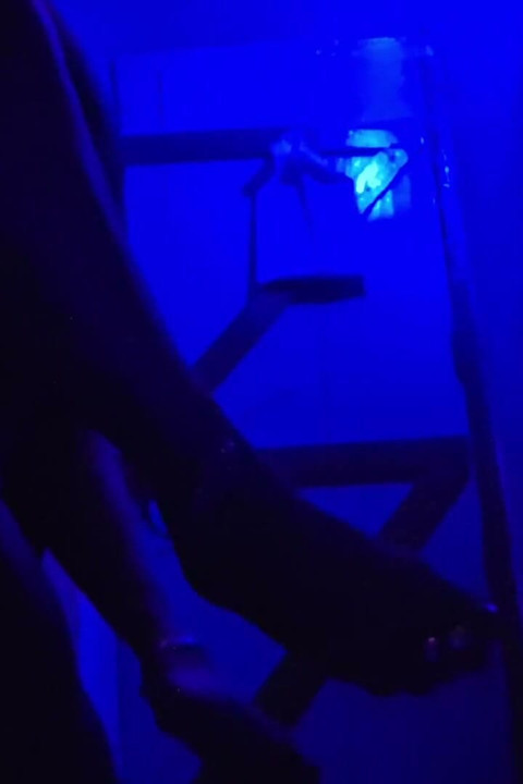 Sex XXX Video Desi Piger