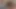 Try not to cum