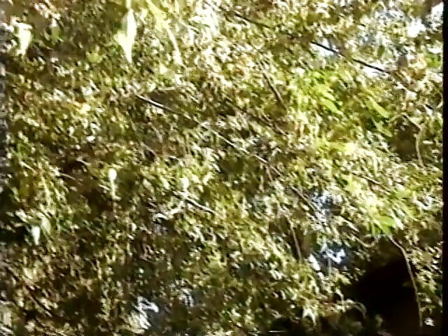 Three ebony sluts suck and fuck three white dudes in the garden