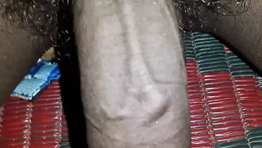 aj büyük horoz