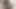 Inculata POV