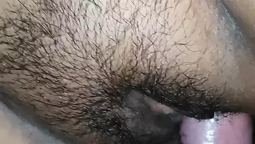 Benggali Miang Boudi berkongkek tegar pada tengah malam