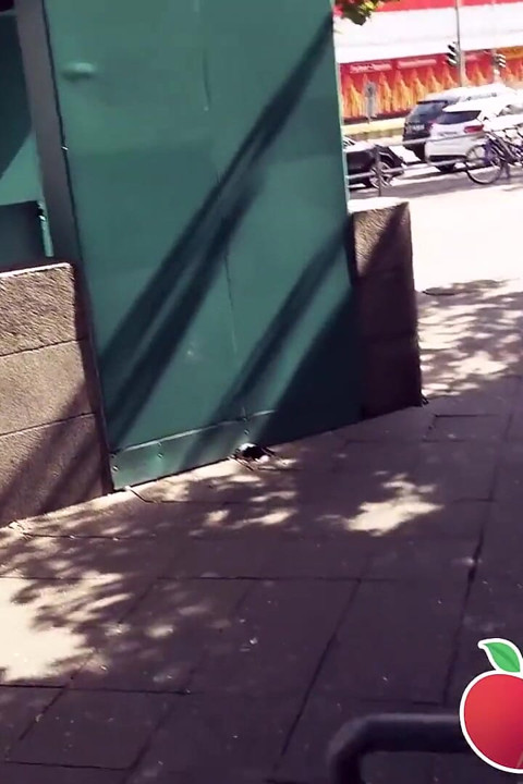 Rubia alemana Tatjana Young recogida en la calle y follada en el parque de la ciudad
