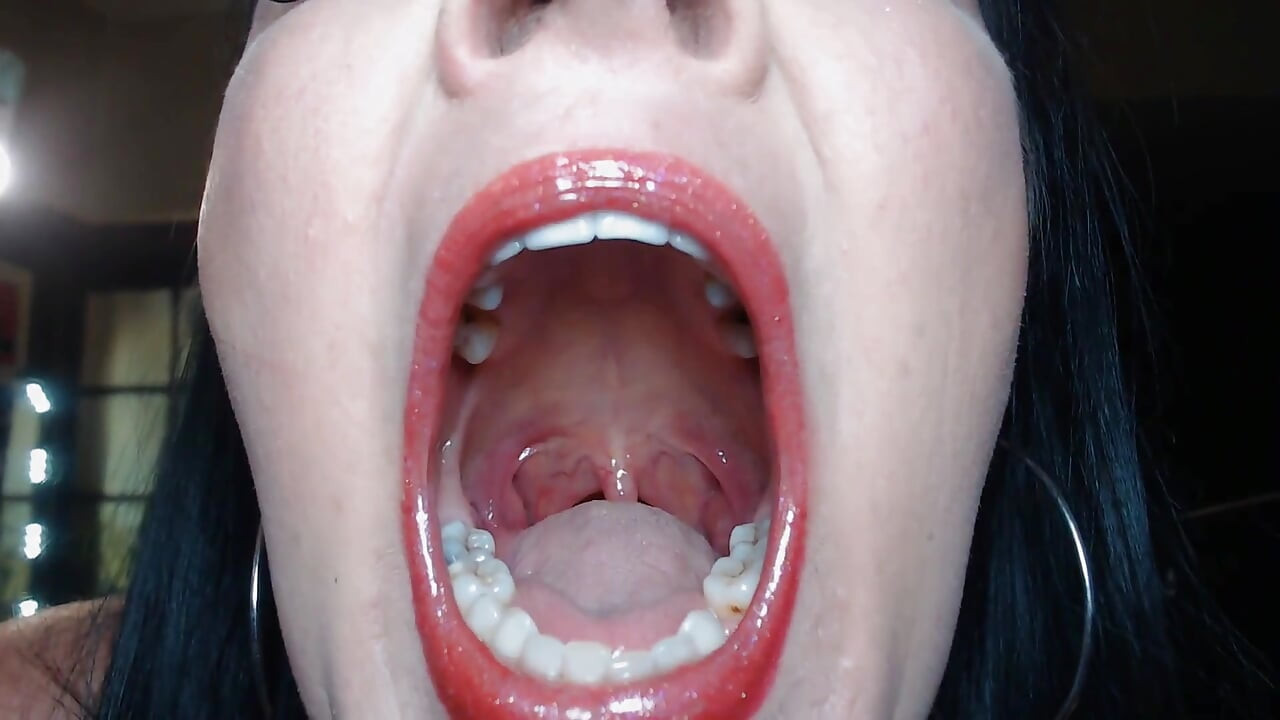 Tour The Terrors in my Mouth