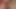 Best of Futanari - Futa Step Mom gets a Blowjob