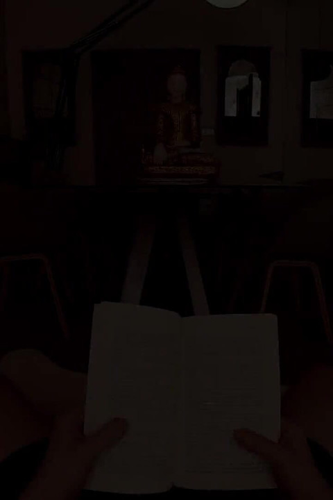Meditation or Fucking for a Relaxing Evening? Choose Wisely...