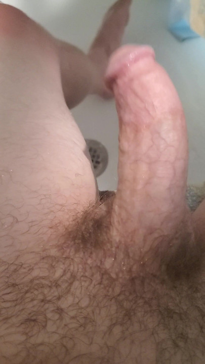 Waving cock