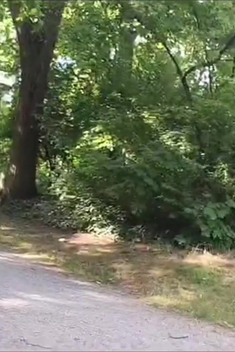 Public Masturbated in the Park & Everyone Saw Me