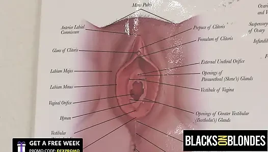 BLACKS НА БЛОНДИНКАХ - миниатюрная KYLIE QUINN возбуждается во время осмотра доктора