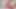 Latest live sex show on Stripchat, Gigi and Dave, shemale and man couple, POV, behind the scene, webcam sex, 28.03.2025 ep5