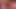 Schwarzer Ladyboy, sonniger tiefer Blowjob