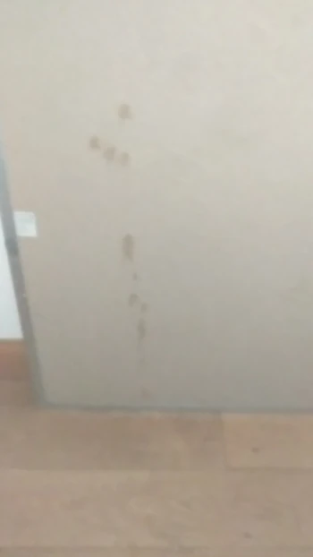 Shooting cum at a tardet