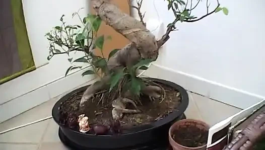 Morgane bermain dildo di rumahnya