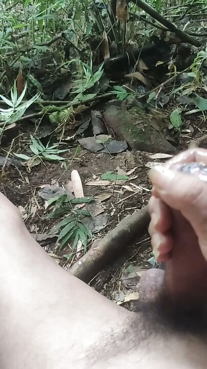 Soksoka in jungle