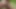 Julie naked in the cornfield