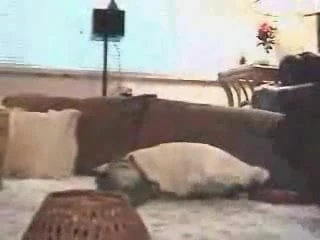 Cô ấy rất sừng ...