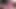 Teen fingert und fickt ihre enge Muschi