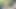 Boy Goes to the Forest and Masturbates on a Mountain