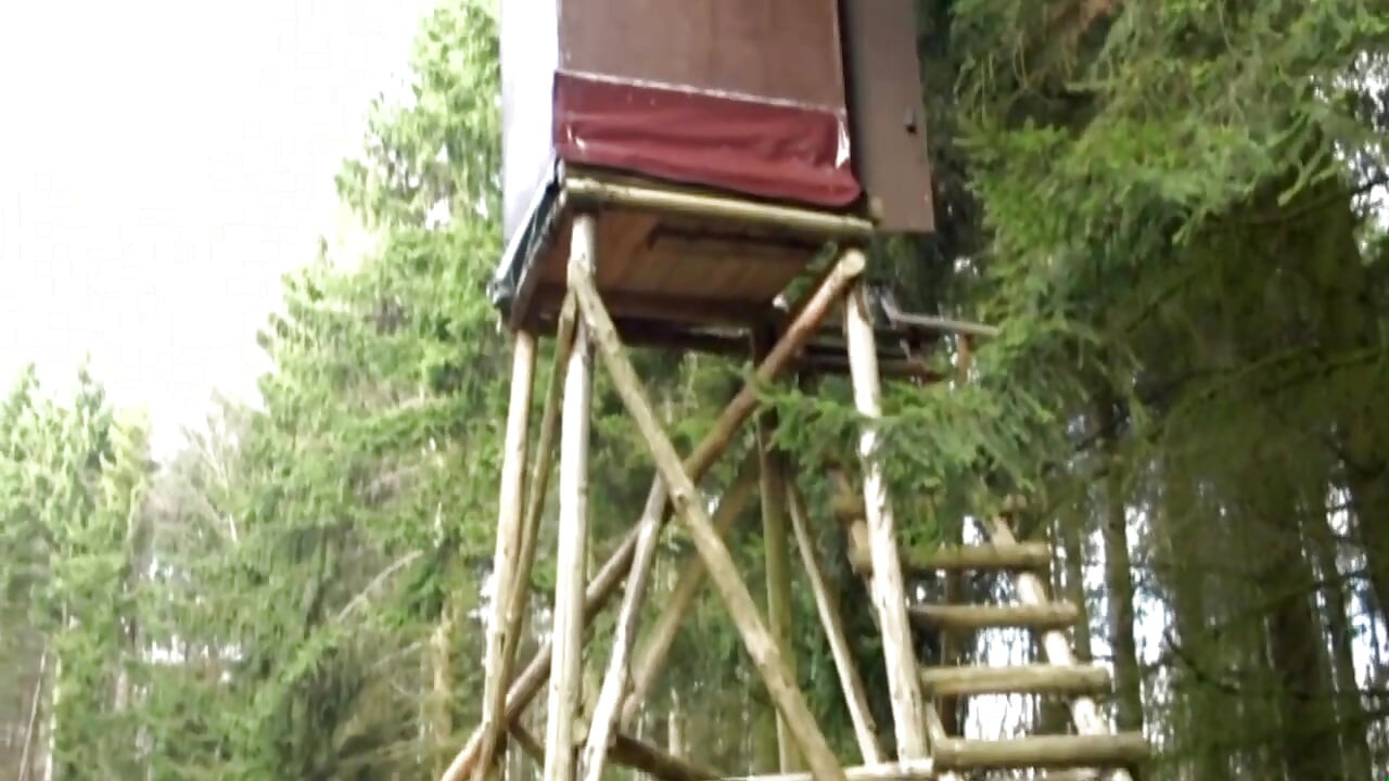 Head forester - SCENE #07
