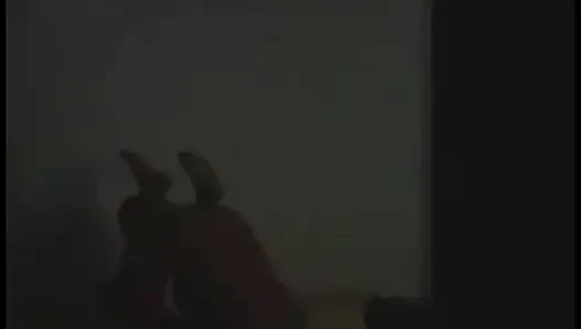 Tek bir üvey babamın yasak yankıları
