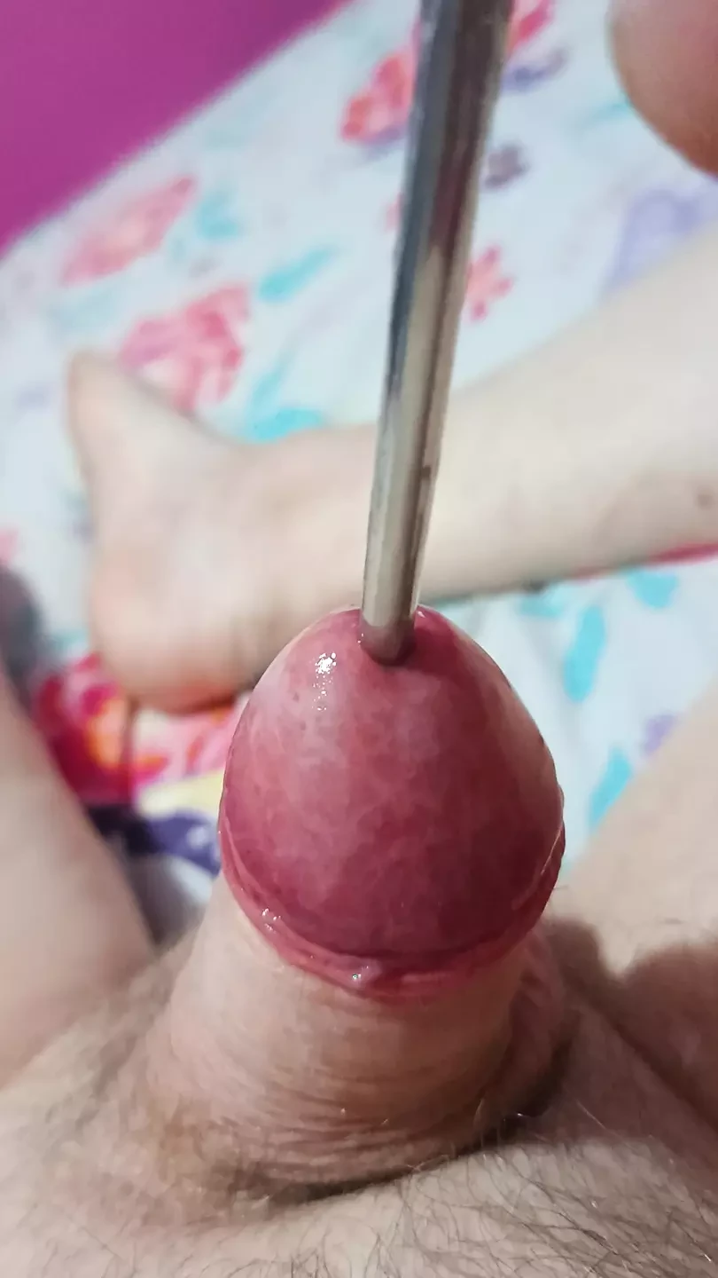 Love sounding my cock