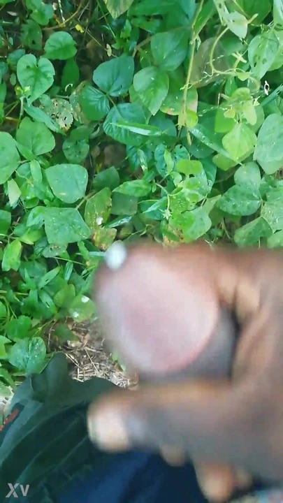 I masturbate in the bush