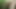 Accidental Meeting in the Forest Leads to Doggy Style Fuck