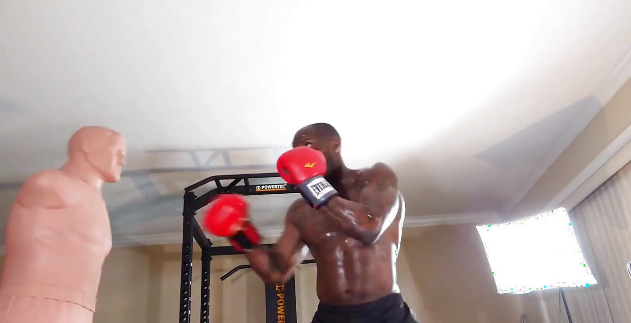 Boxing Workout When Designing a Core Training Program, the Local and Global Muscles Should Both Be Trained to Develop Proper Cor