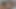 欲情したレズボたちは指しゃぶりながらお互いの秘部の味を楽しむ