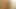 Hairy Tall Thai on #CastingCouch Suck Suck Suck