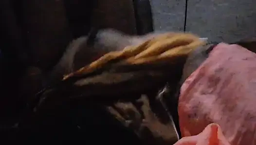 Maaşlı orospu çocuğu amını yırtıyorum, edepsiz sokak seks videosu