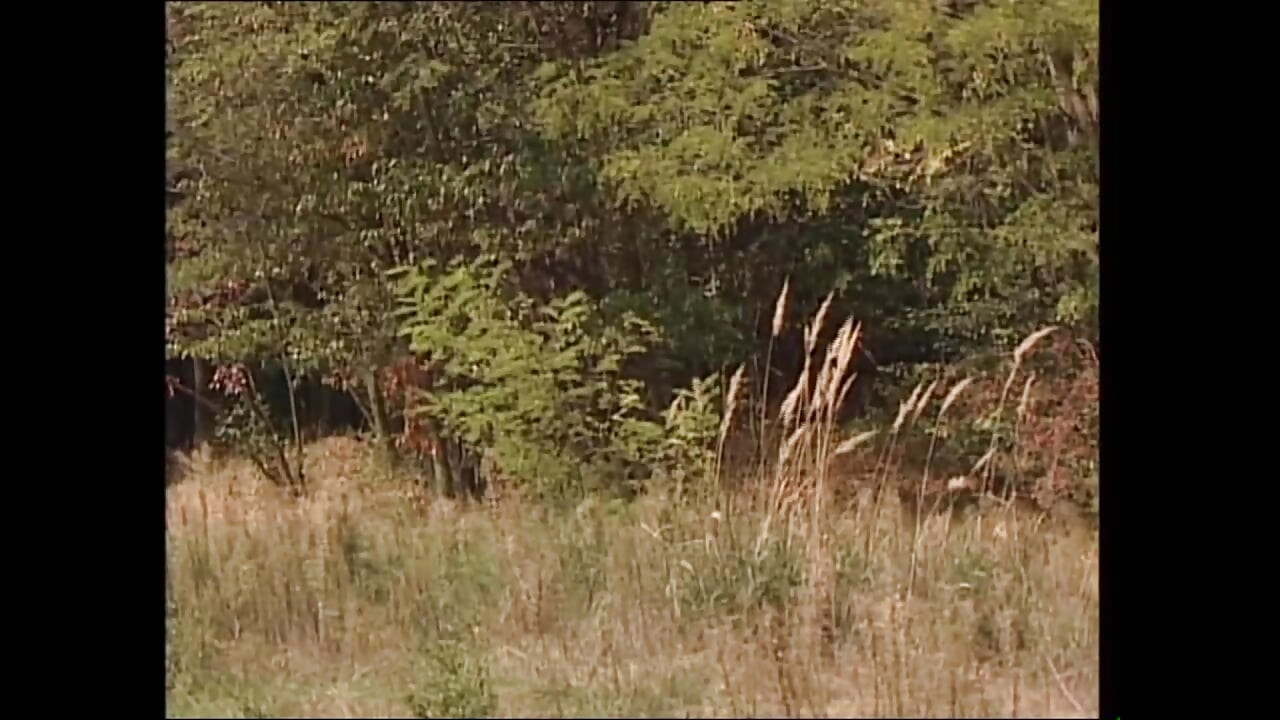 Gola žena u plamenu, Vol.4 (cijeli film)