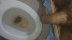 Pissing In Toilet
