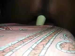 Il cetriolo piccolo si diverte il suo letto